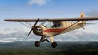 Screenshot 12 — Piper J-3 Cub Fix
