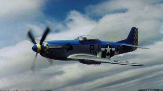 Screenshot 2 — P-51d Moose
