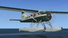 Screenshot 7 — DeHavilland Beaver
