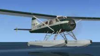 Screenshot 7 — DeHavilland Beaver