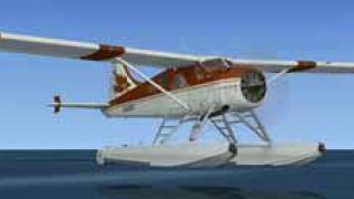 Screenshot 6 — DeHavilland Beaver