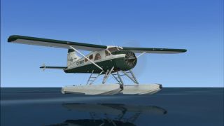 Screenshot 4 — DeHavilland Beaver