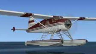 Screenshot 5 — DeHavilland Beaver