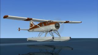 Screenshot 3 — DeHavilland Beaver
