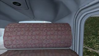 Screenshot 12 — Cessna 182 Skylane