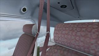 Screenshot 13 — Cessna 182 Skylane