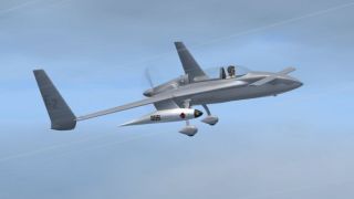 Screenshot 1 — Rutan 61 Long EZ