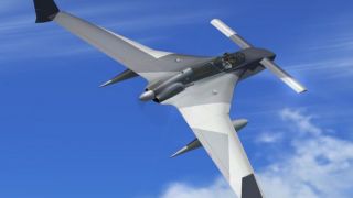 Screenshot 1 — Rutan 61 Long EZ 'Ferris'
