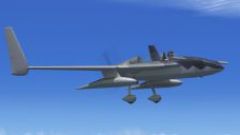 Screenshot 2 — Rutan 61 Long EZ 'Ferris'