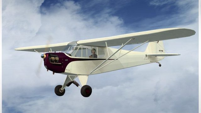 Screenshot 1 — J3 Cub Prop