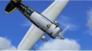 Screenshot 10 — Wolf Aircraft Cyclone-Bee Gee Racer