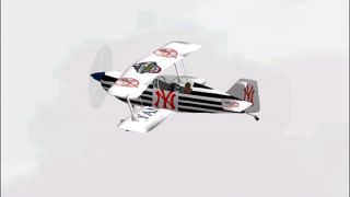Screenshot 4 — Aviat Pitts S-1T
