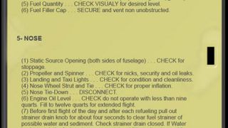 Screenshot 5 — Cessna 206H