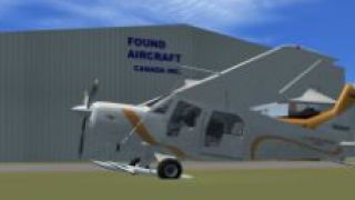 Screenshot 3 — Ave de Paraiso Bush Hawk XP