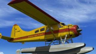 Screenshot 3 — DeHavilland DHC-2 Beaver C-FARF