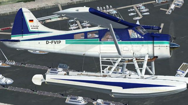 Screenshot 1 — De Havilland DHC-2 Beaver D-FVIP