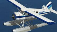 Screenshot 3 — Taquan Air DHC-2 Beaver