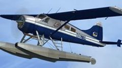 Screenshot 3 — Regal Air DeHavilland DHC-2 Beaver