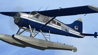 Screenshot 3 — Regal Air DeHavilland DHC-2 Beaver