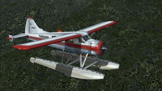 Screenshot 1 — Red And Black DHC-2 Beaver