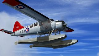 Screenshot 2 — CAF DeHavilland DHC-2 Beaver