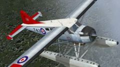 Screenshot 3 — CAF DeHavilland DHC-2 Beaver