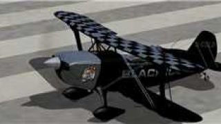 Screenshot 30 — Christen Eagle II