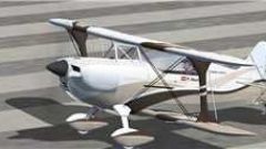 Screenshot 7 — Christen Eagle II