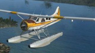 Screenshot 3 — DeHavilland Beaver Texture Fix