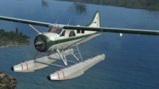 Screenshot 4 — DeHavilland Beaver Texture Fix