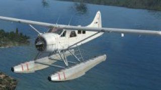 Screenshot 5 — DeHavilland Beaver Texture Fix