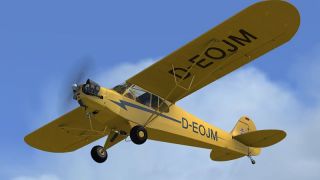 Screenshot 2 — Piper Cub J-3 D-EOJM