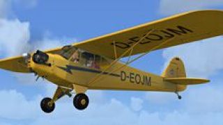 Screenshot 3 — Piper Cub J-3 D-EOJM
