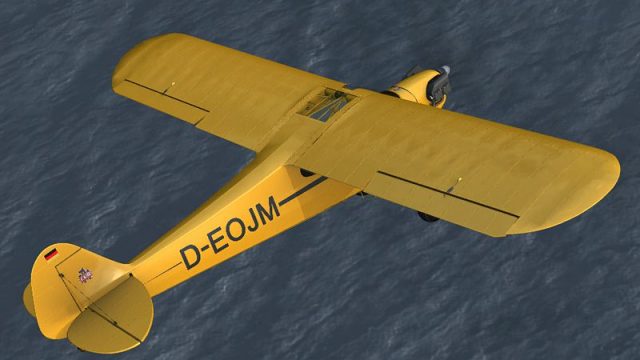 Screenshot 1 — Piper Cub J-3 D-EOJM
