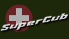 Screenshot 6 — Swiss Air Force Piper Super Cub