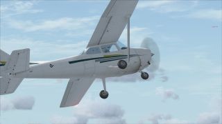 Screenshot 21 — Tricolor Cessna 172SP