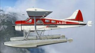 Screenshot 3 — DHC-2 Beaver LN-BIE