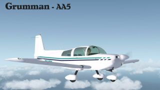Screenshot 1 — Grumman AA-5B Tiger Repaint