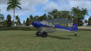 Screenshot 1 — Flight Replicas Super Cub Extreme