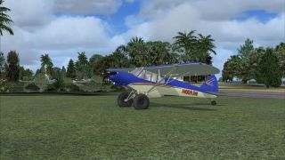 Screenshot 2 — Flight Replicas Super Cub Extreme
