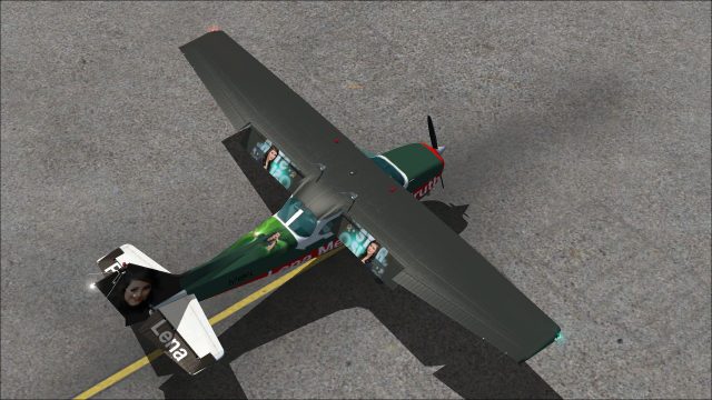 Screenshot 1 — Lena Meyer-Landruth Cessna C172