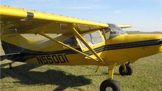 Screenshot 1 — Yellow And Blue Maule 260C