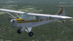 Screenshot 2 — Piper PA-18 Super Cub
