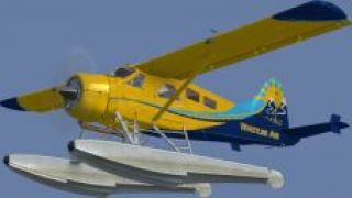 Screenshot 5 — BC Coastal Beaver Repaints