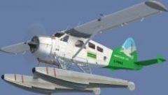 Screenshot 12 — BC Coastal Beaver Repaints