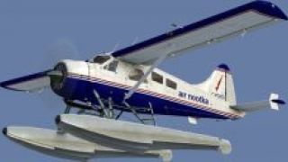 Screenshot 3 — BC Coastal Beaver Repaints