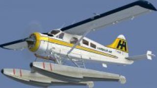 Screenshot 4 — BC Coastal Beaver Repaints