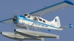 Screenshot 10 — BC Coastal Beaver Repaints