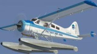 Screenshot 10 — BC Coastal Beaver Repaints