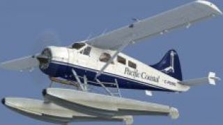 Screenshot 7 — BC Coastal Beaver Repaints